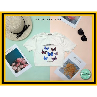🦋🦋🦋 Áo croptop nữ tay ngắn in họa tiết bướm theo phong cách cá tính/ croptop Ulzzang