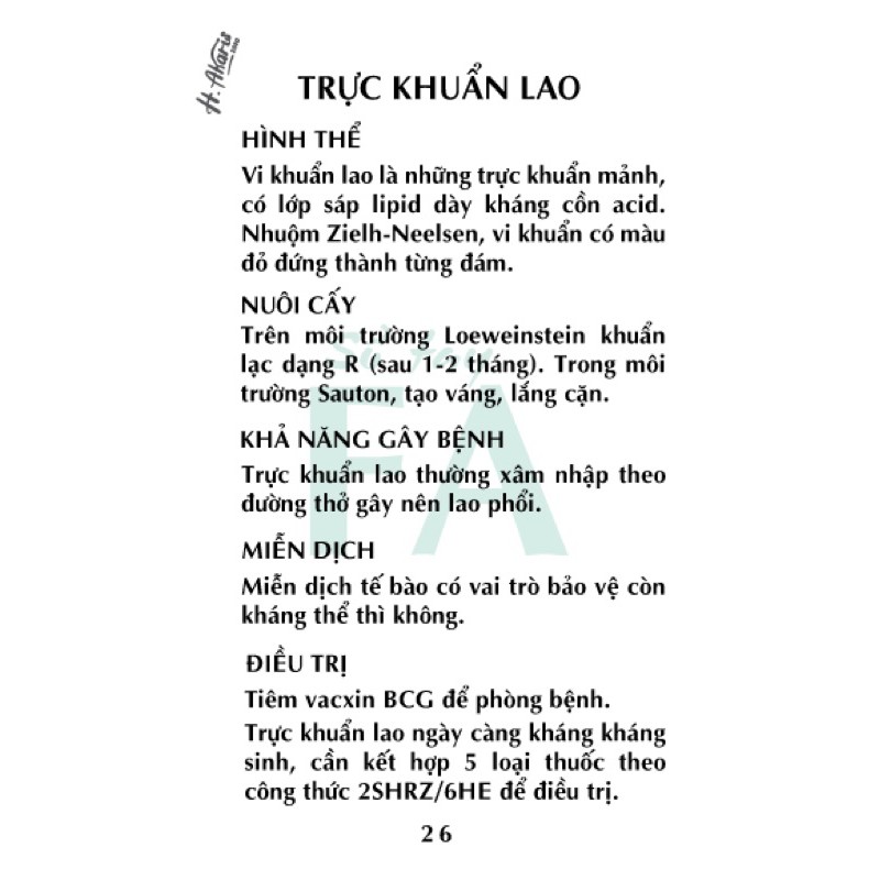 Sổ tay FA vi sinh bản Vi khuẩn // flashcard vi sinh bản Vi khuẩn