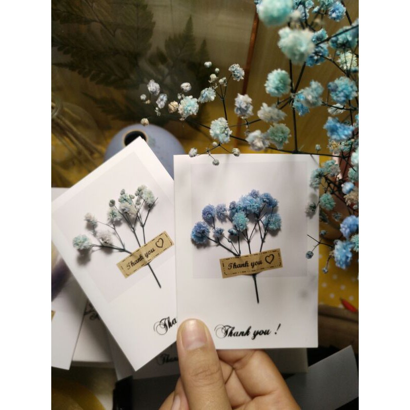 Thiệp hoa baby khô xinh xắn