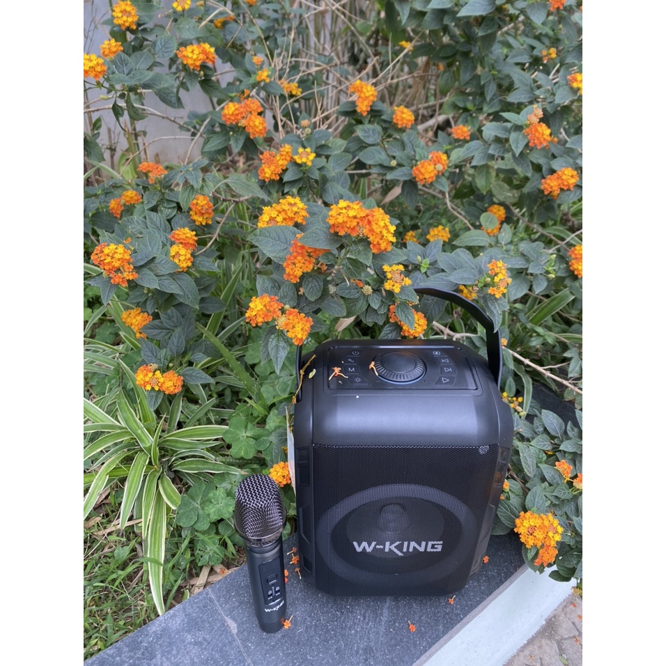 LOA BLUETOOTH W-KING T9S  mới nhất 2021.