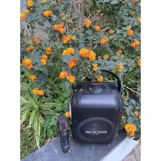 LOA BLUETOOTH W-KING T9S (Kèm 1 Micro không dây)  WKING
