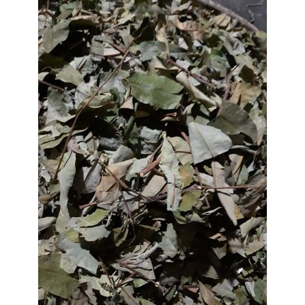 1 kg Cây Thành Ngạnh khô (cây đỏ ngọn)  nhiều lá tốt cho não.giảm đau đầu