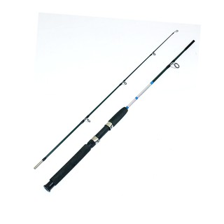 Cần Câu Máy Hai Khúc Đặc Màu Bạc DLE 1m8 - Cần Câu Phổ Thông