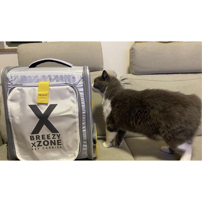 Balo Petkit Breezy Zone