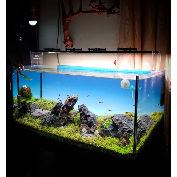 Đèn Thuỷ Sinh WRGB uvA 5054 SMD  - Magic Led Lighting