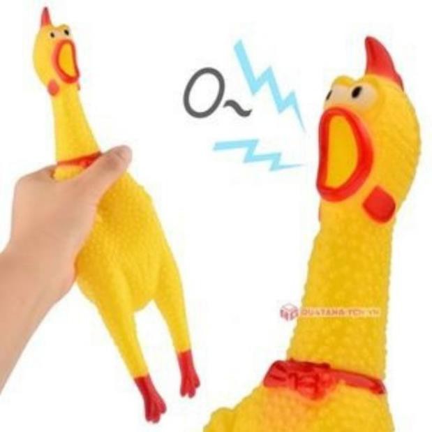 Gà bóp kêu Shrilling Chicken, gà A Lử (32cm) hs