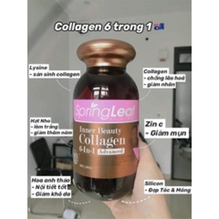 COLLAGEN 6 IN 1 SPRING LEAF- 180 viên