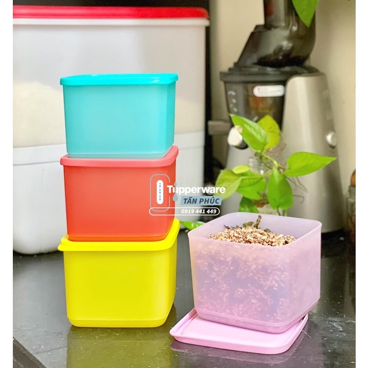 Tupperware - Bộ 4 hộp bảo quản thực phẩm Medium Summer Fresh (đủ 4 màu như hình)