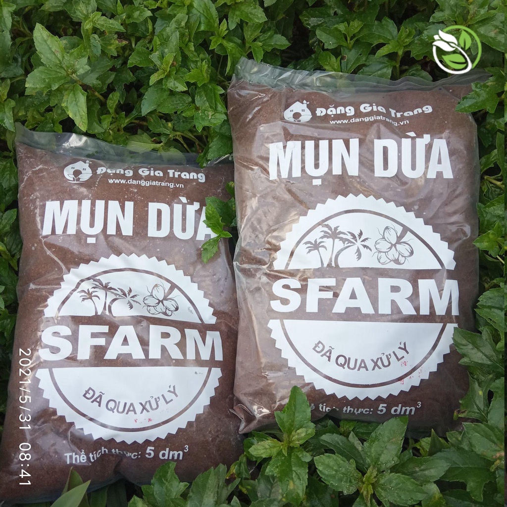 Mụn Dừa  Sfarm Đặng Gia Trang Đã Qua Xử Lý - Gói 5dm3 ~ 1kg2