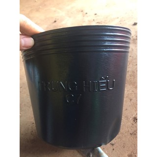 10 chậu nhựa ươm cây dẻo c7