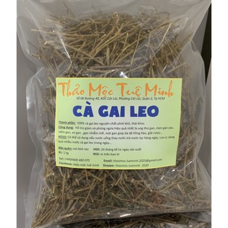 [ SỐ 1🥇] CÀ GAI LEO - CHIẾN SĨ HỦY DIỆT TẾ BÀO UNG THƯ GAN, MEN GAN CAO, VIÊM GAN