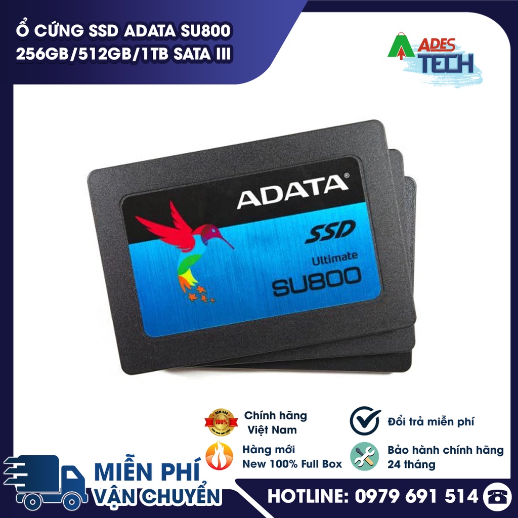 Ổ cứng SSD ADATA SU800 256GB/512GB/1TB Sata III