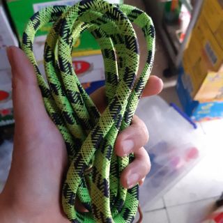 Dây thun dây ràng chở hàng