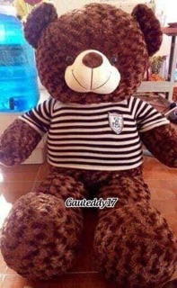 Gấu bông teddy 1m2