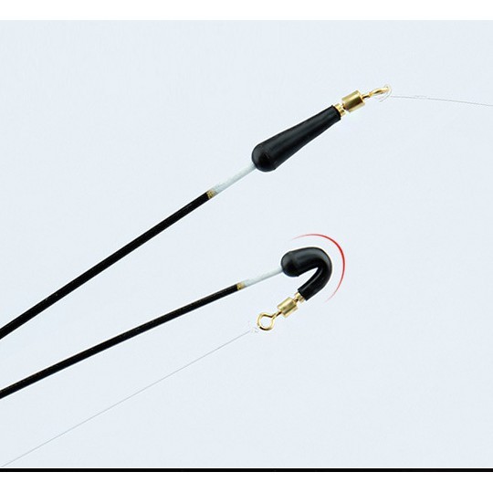 Chân chạy phao câu cá