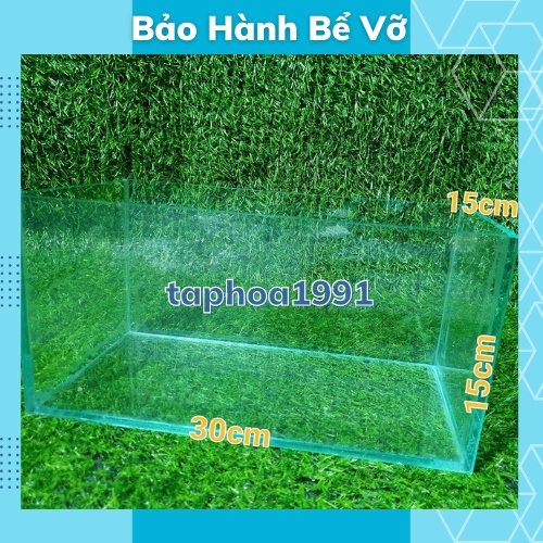 [ẢNH THẬT] HỒ CÁ MINI ĐỂ BÀN, HỒ CÁ KIẾNG CÁ BETTA 5li 30*15*15