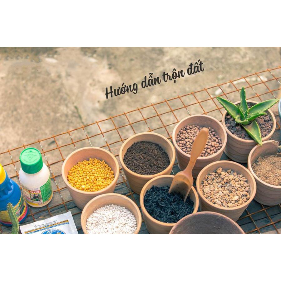 Giá thể trồng sen đá, xương rồng trộn sẵn đầy đủ đá, phân và bột tím - NeyuhGarden