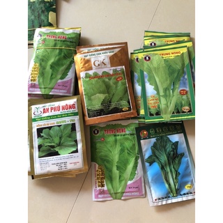 Hạt giống cải bẹ xanh, cải canh