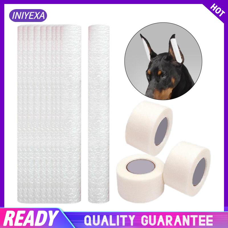 Giá Đỡ Tai Chó Chihuahua Cỡ Vừa Và Lớn Chăm Sóc Tai Cho Cún Cưng