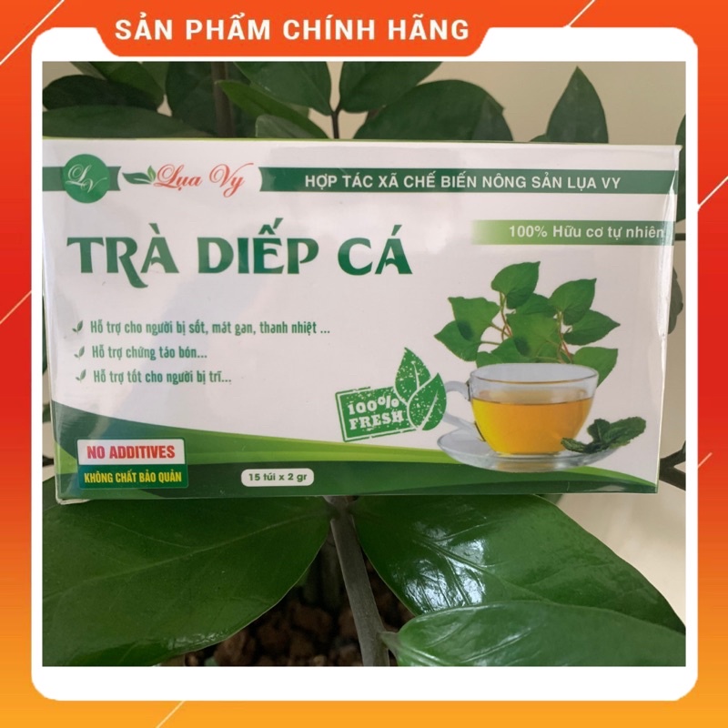 Trà diếp cá Lụa Vy - hộp 15 túi lọc