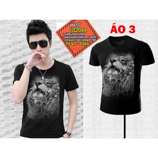 Áo thun nam nữ 3D - PH11