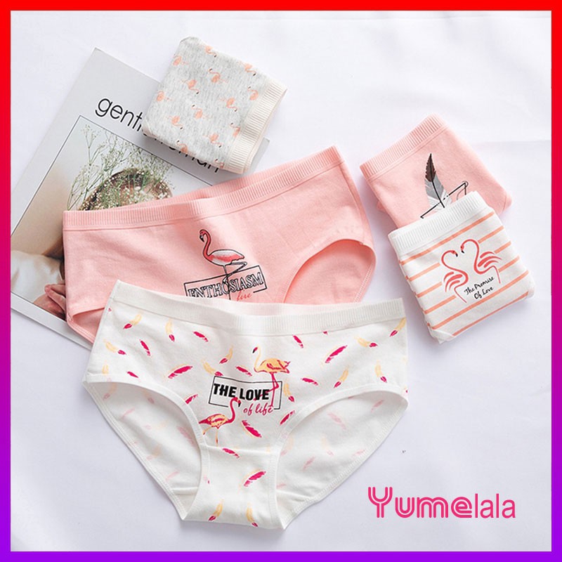 Quần Lót Cotton In Họa Tiết Chim Hồng Hạc Xinh Xắn Dành Cho Nữ ( 38-58kg )