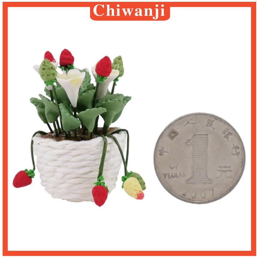 Chậu Cây Bonsai Mini Tỉ Lệ 1 / 12 Dùng Trang Trí Nhà Búp Bê