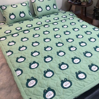 Bộ ga gối chăn hè 5 món poly cotton
