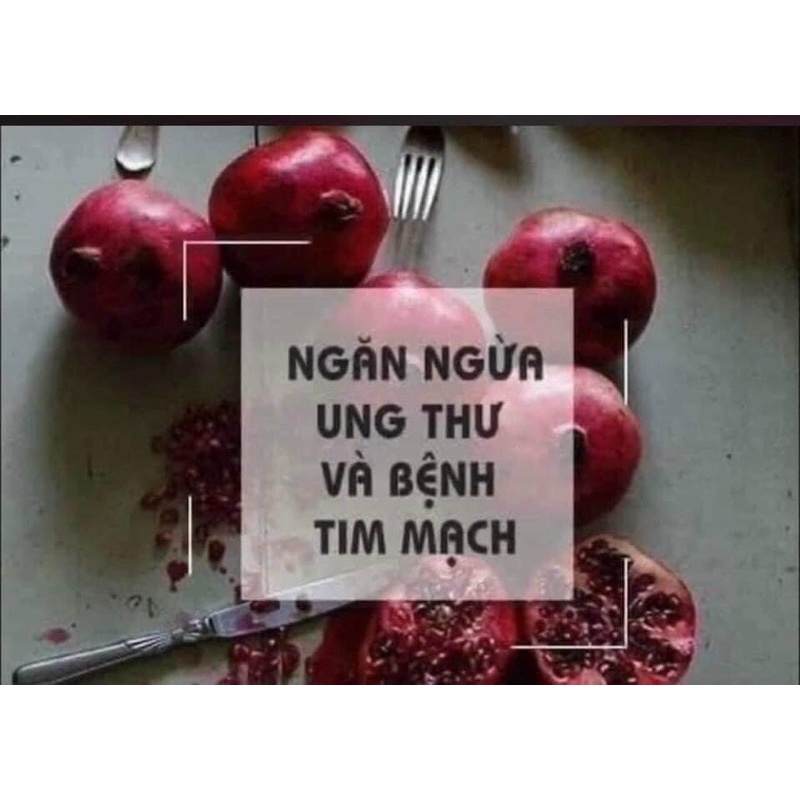Viên Uống Chống Nắng, Mờ Nám, Đẹp Da Hạt Lựu Pomegranate Extract 250mg Puritan's Pride