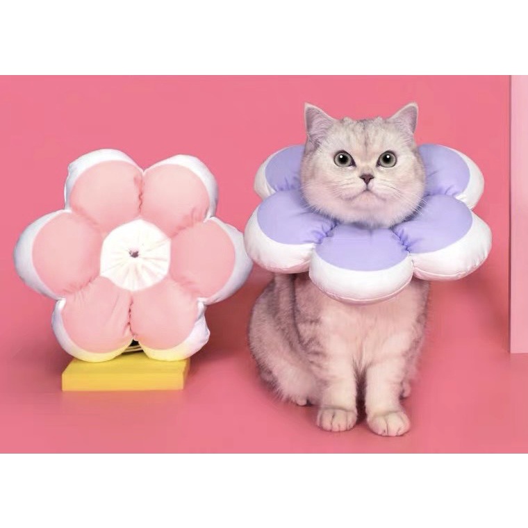[NEW] Vòng chống liếm hình hoa cho chó mèo bông mềm mịn nhiều màu cao cấp