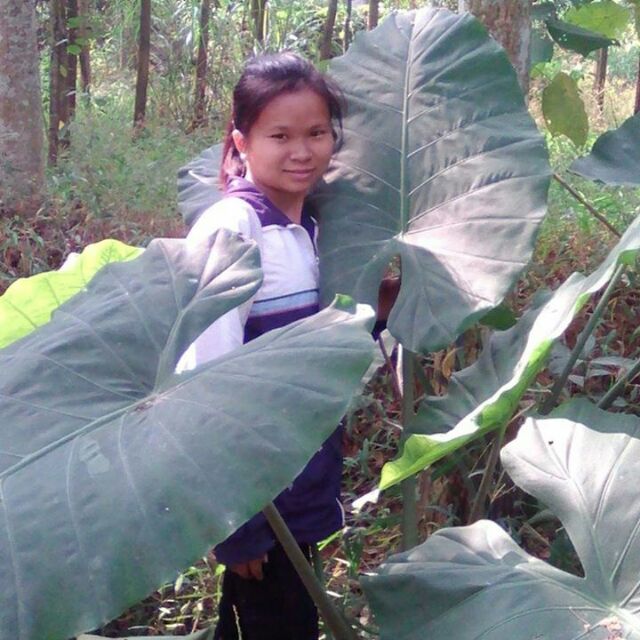 trang13022008