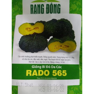 Hạt giống bí đỏ da cóc