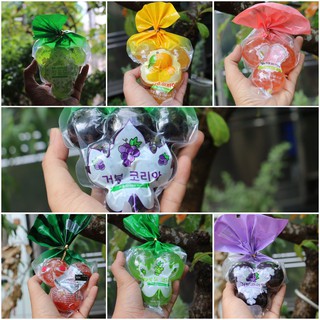 Thạch nổ Kyoho Jelly Hàn Quốc