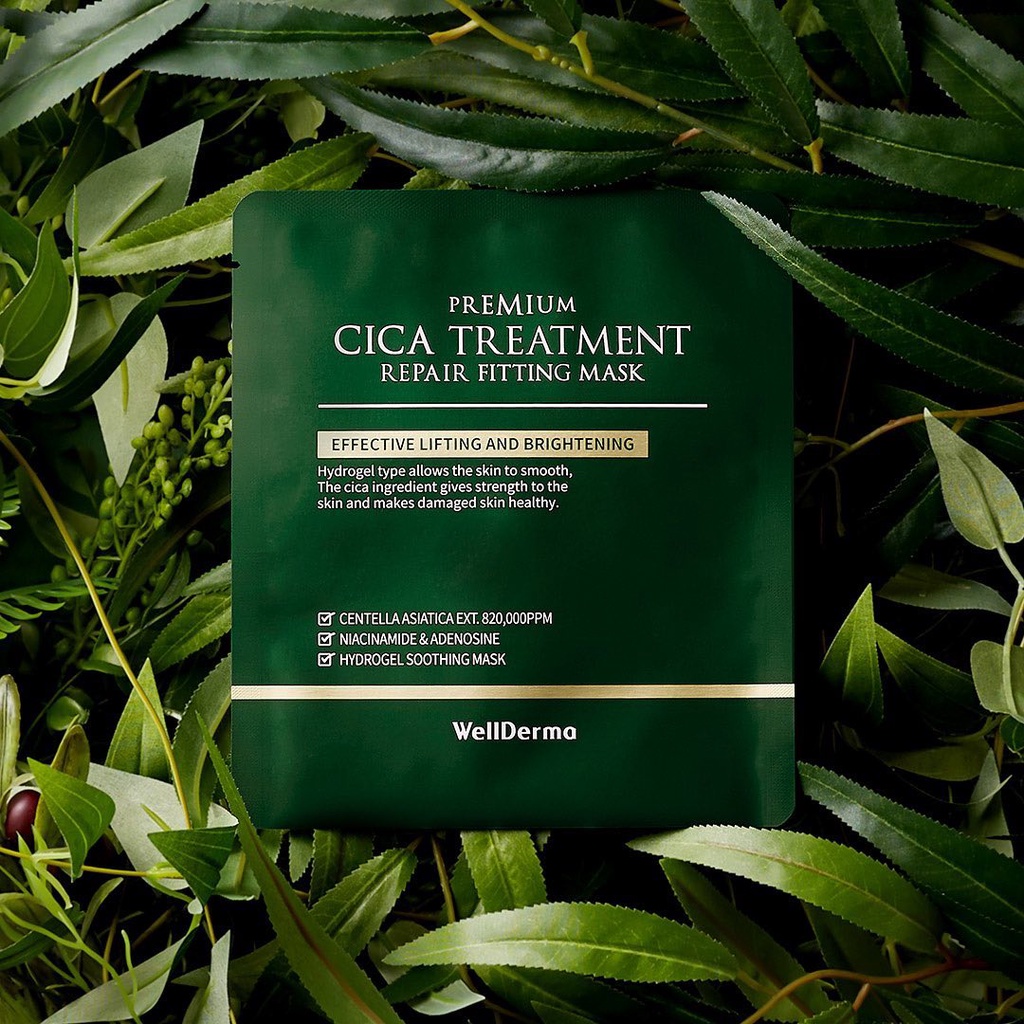 Hộp 4 Miếng Mặt Nạ Thạch Rau Má Cho Da Mụn WellDerma Premium Cica Treatment Repair Fitting