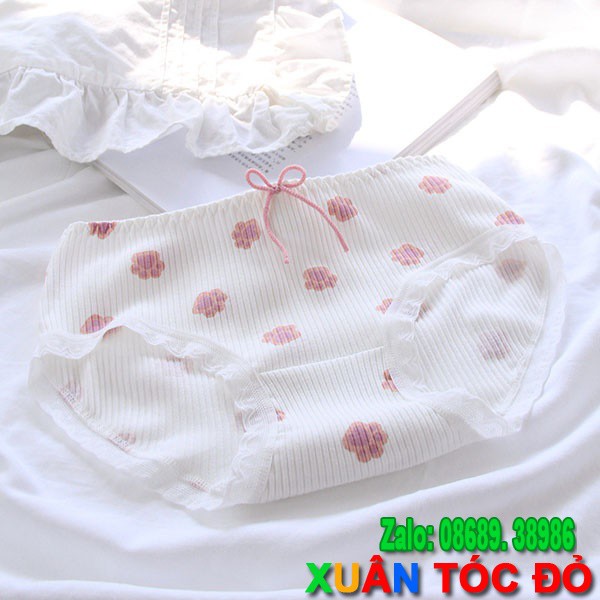 SỈ ZALO RẺ HƠN NHIỀU_ Quần Lót 5 Kiểu Nơ Cute Cực Đẹp 5092 | BigBuy360 - bigbuy360.vn