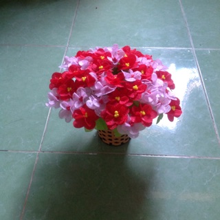 Nguyen lieu hoa gấm mini
