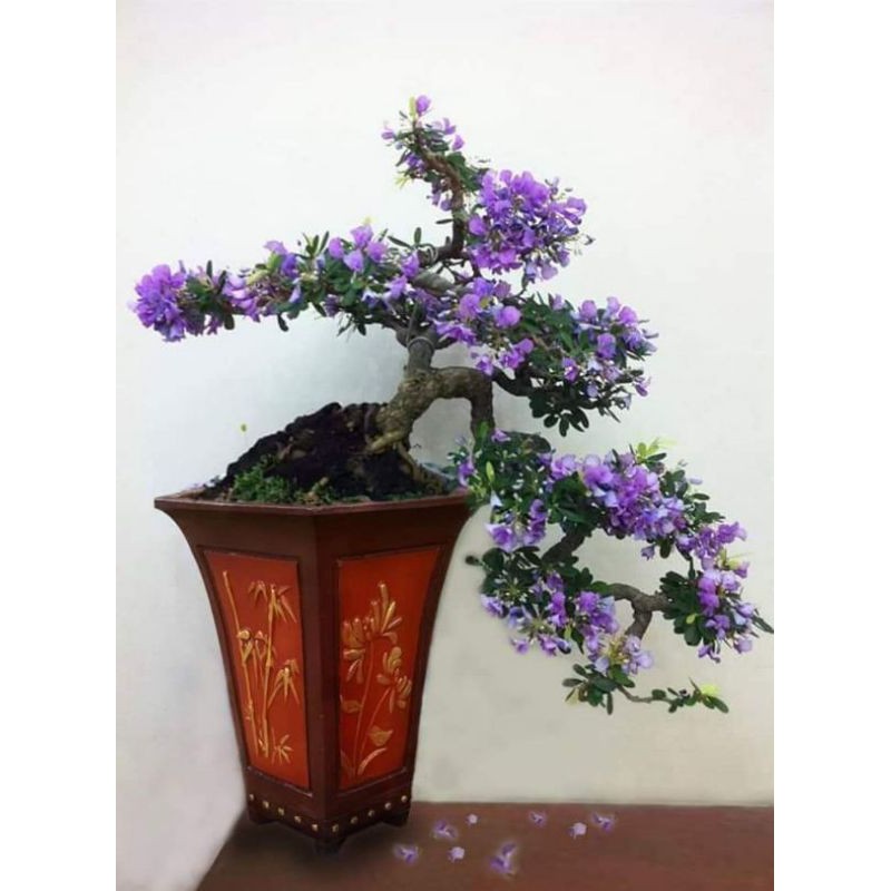 Cả bộ khuôn chậu và khuôn chân đôn lục giác ống rộng 28 cao 33, chân cao 12.5 cm