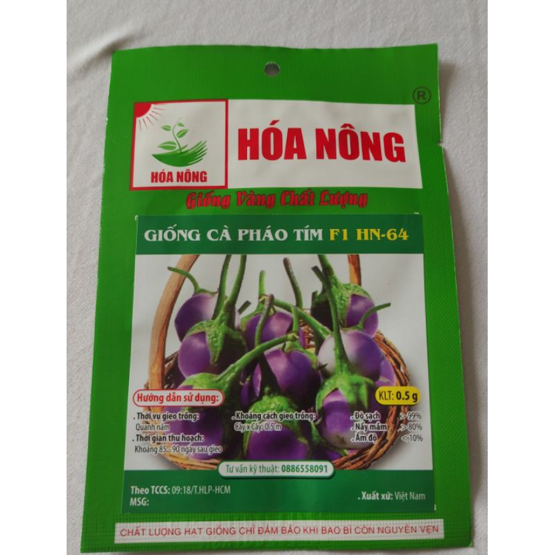HẠT GIỐNG CÀ PHÁO TÍM
