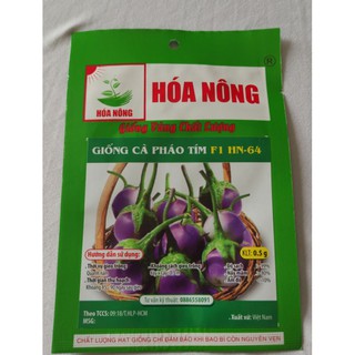 HẠT GIỐNG CÀ PHÁO TÍM