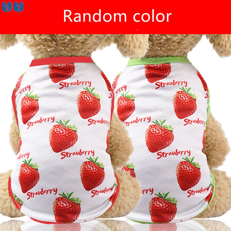 Đầm thun cotton in họa tiết trái cây dễ thương thời trang cho thú cưng