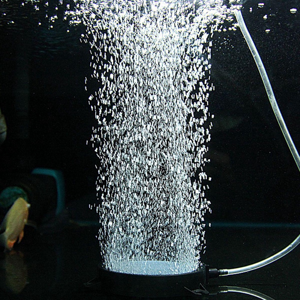 Máy Bay Elsworth Air|Bình Bơm Oxy Thủy Canh Có Giác Hút Tiện Dụng