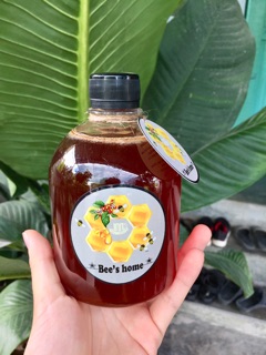 [KHÁNH HOÀ] 🐝Mật ong hoa cà phê Lâm Đồng (chai 500ml)
