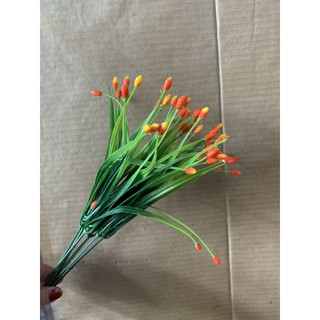 Cụm điểm sao 5 nhánh