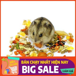 thức ăn của chuột hamster - myanh.s