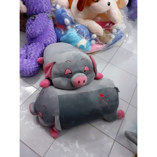 Heo mắt híp 90 cm