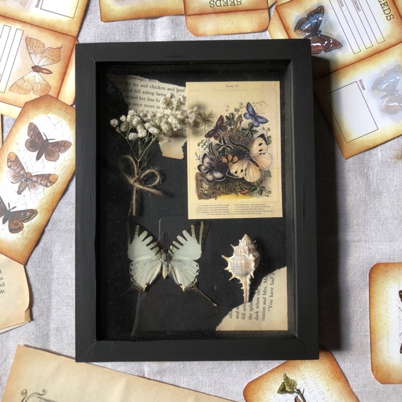 Khung bướm nghệ thuật nền đen