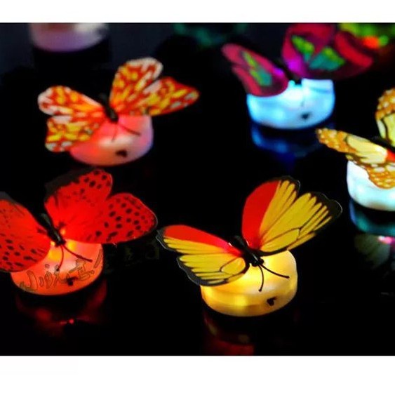1 Đèn LED Hình Bươm Bướm Trang Trí