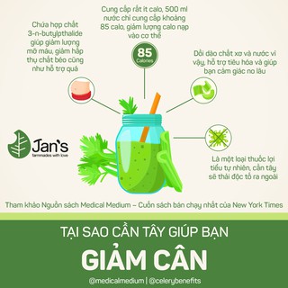 Bột cần tây sấy lạnh Jan’s 60g