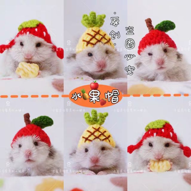 Nón hamster, sóc,bọ hình trái cây