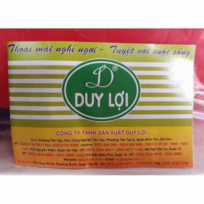 [Trợ giá] Võng xếp Duy Lợi Cỡ lớn - 1 bộ khung lưới gối - Võng xếp khung sơn tĩnh điện